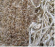 Photos of Carpet Textures | Rug Texture Photos