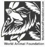 RugGuy Galleriez Supports the World Animal Foundation