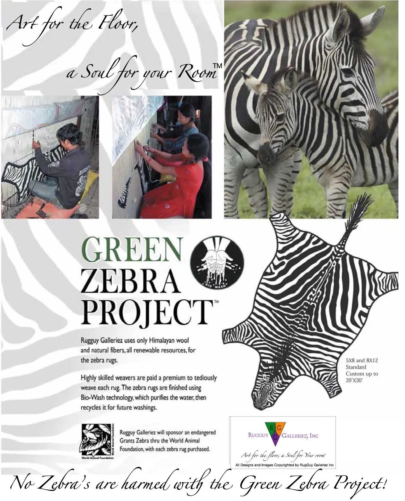 1-Green Zebra 1st pg